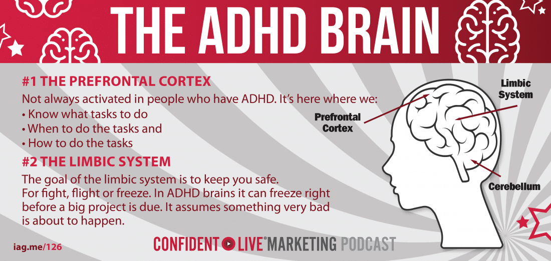 The ADHD Brain