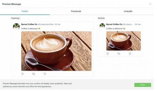 Sprout Social allows you to view previews but not edit them